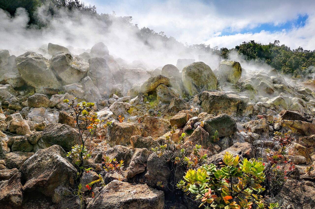 Steam Vents