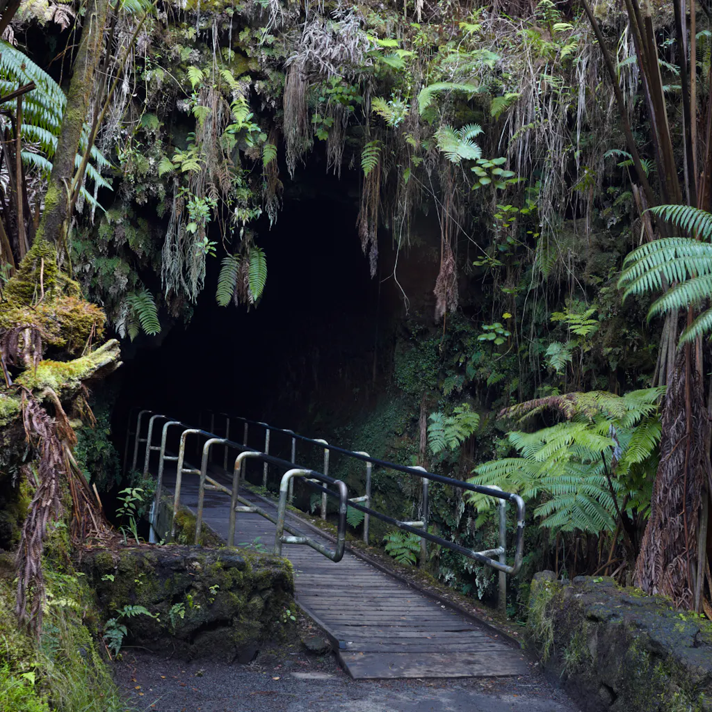 Thurston Lava Tube