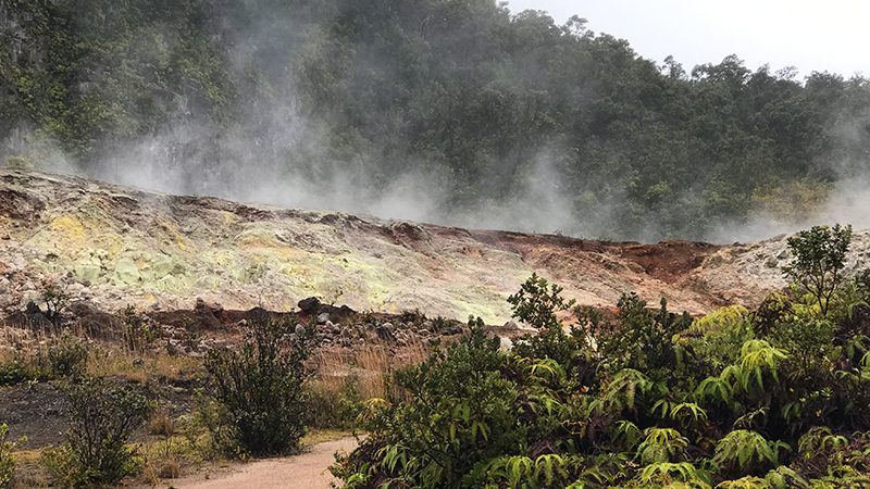 Steam Vents
