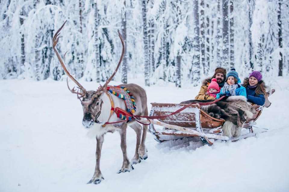 Reindeer Enclosure