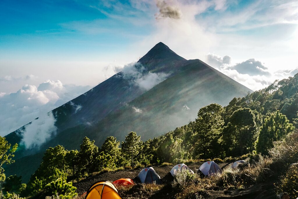 Cloud Forest