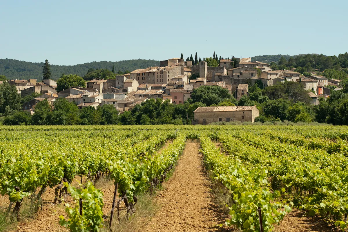 Provence Wine Tour From Nice