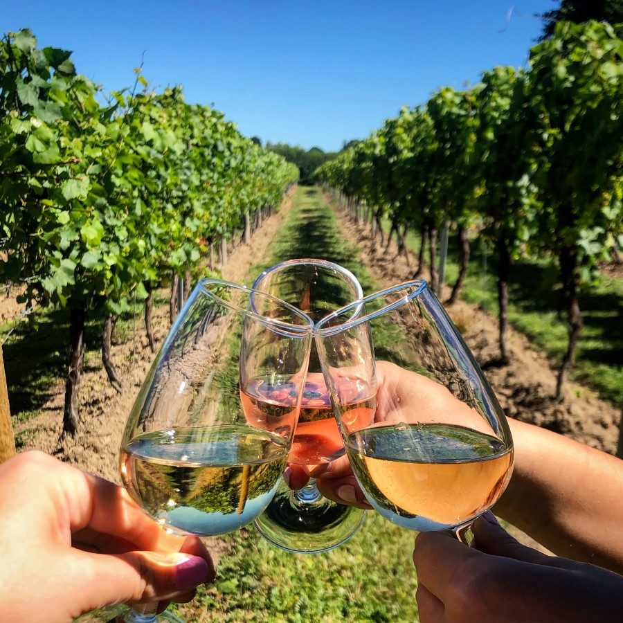 Your experience at Provence Wine Tour From Nice