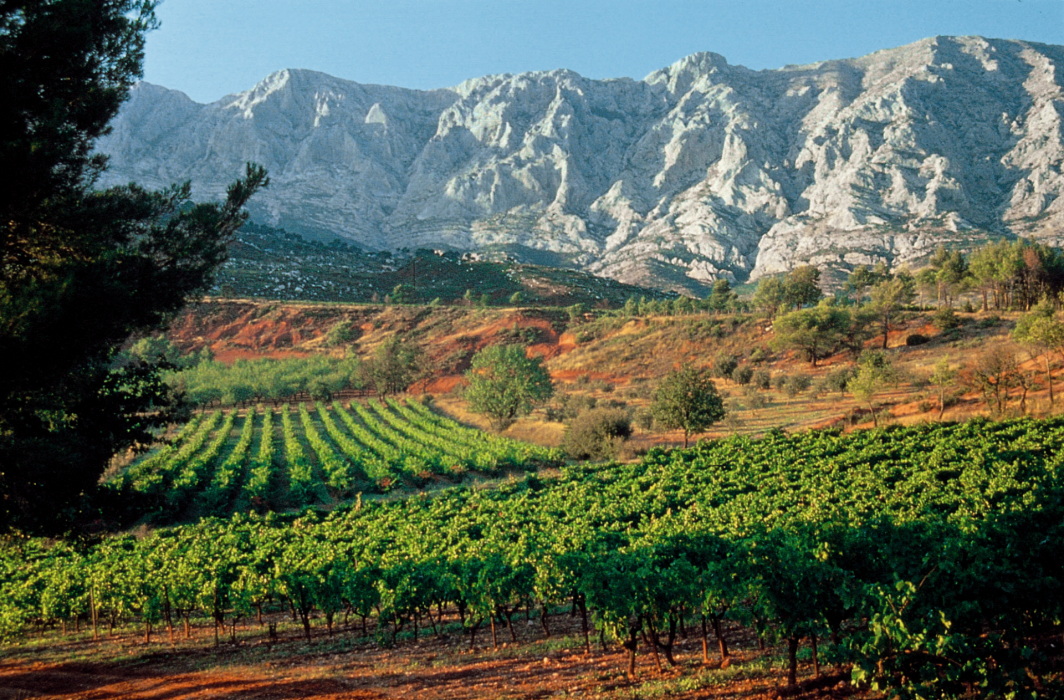 Your Provence Wine Tour From Nice, Explained