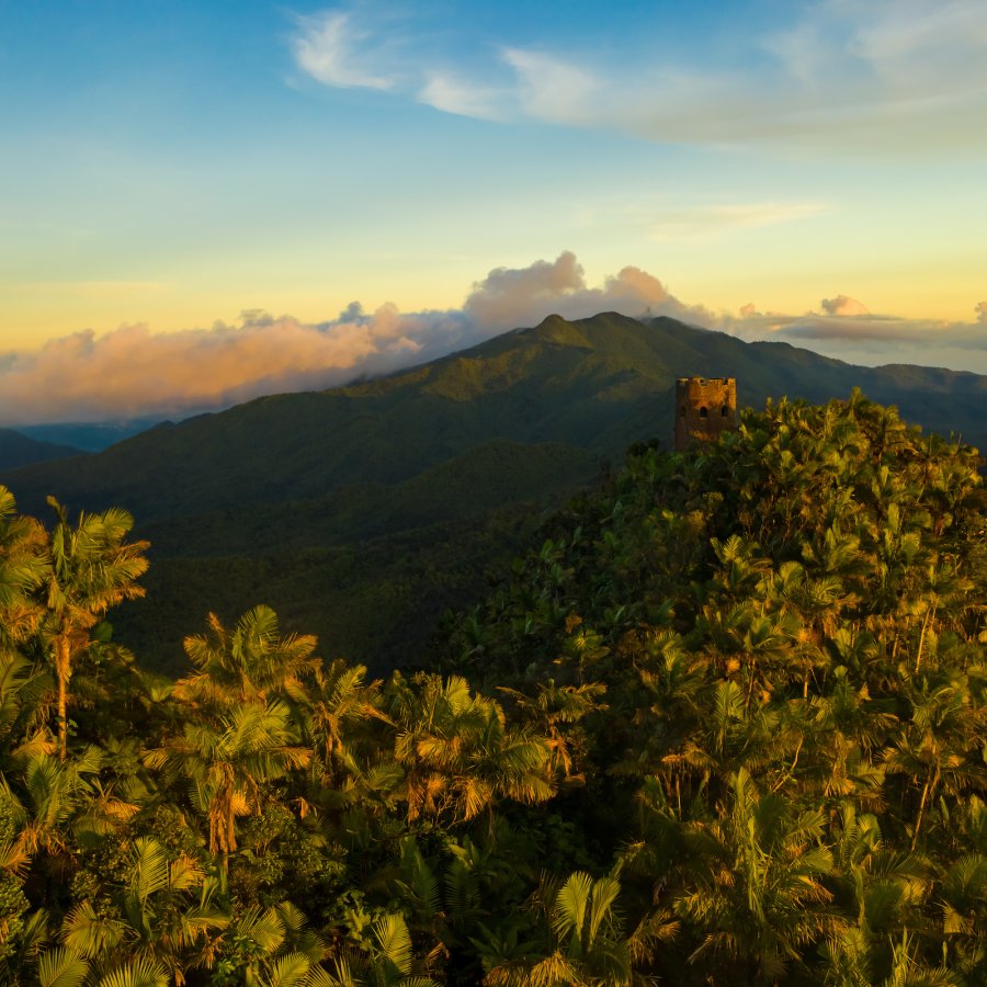 El Yunque ATV Tour at Carabalí Rainforest Park