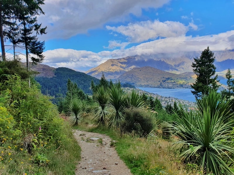 Tiki Trail