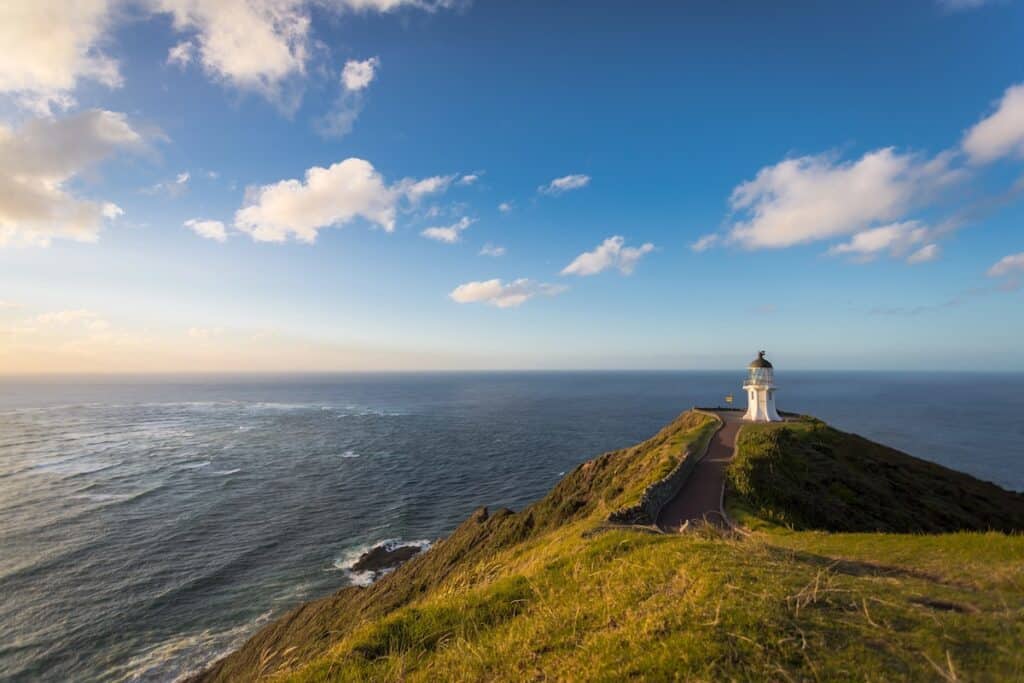 Cape Reinga Tour From Paihia