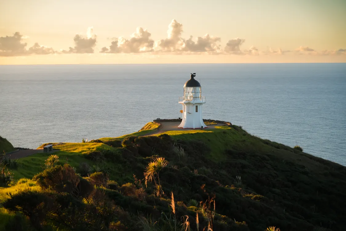 Cape Reinga Tour From Paihia: Full-Day Coach Journey