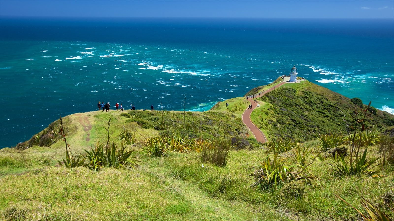 Your experience at Cape Reinga Tour From Paihia
