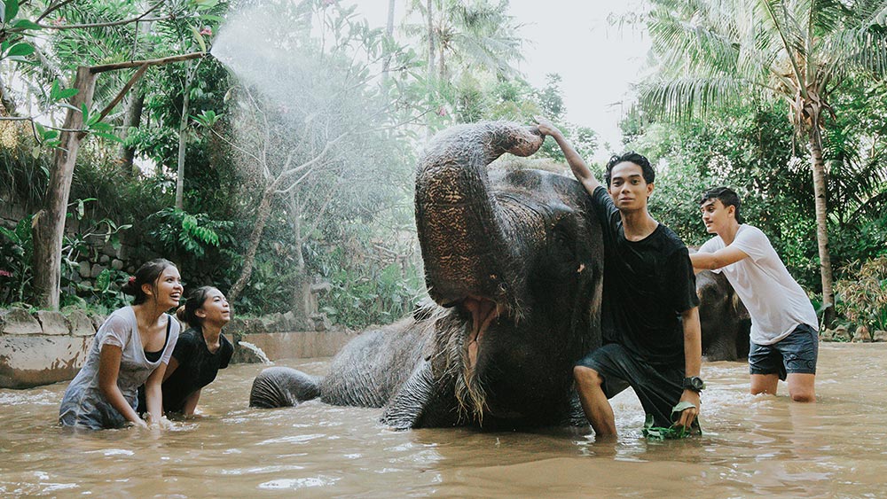Your experience at Elephant Bathing Phuket