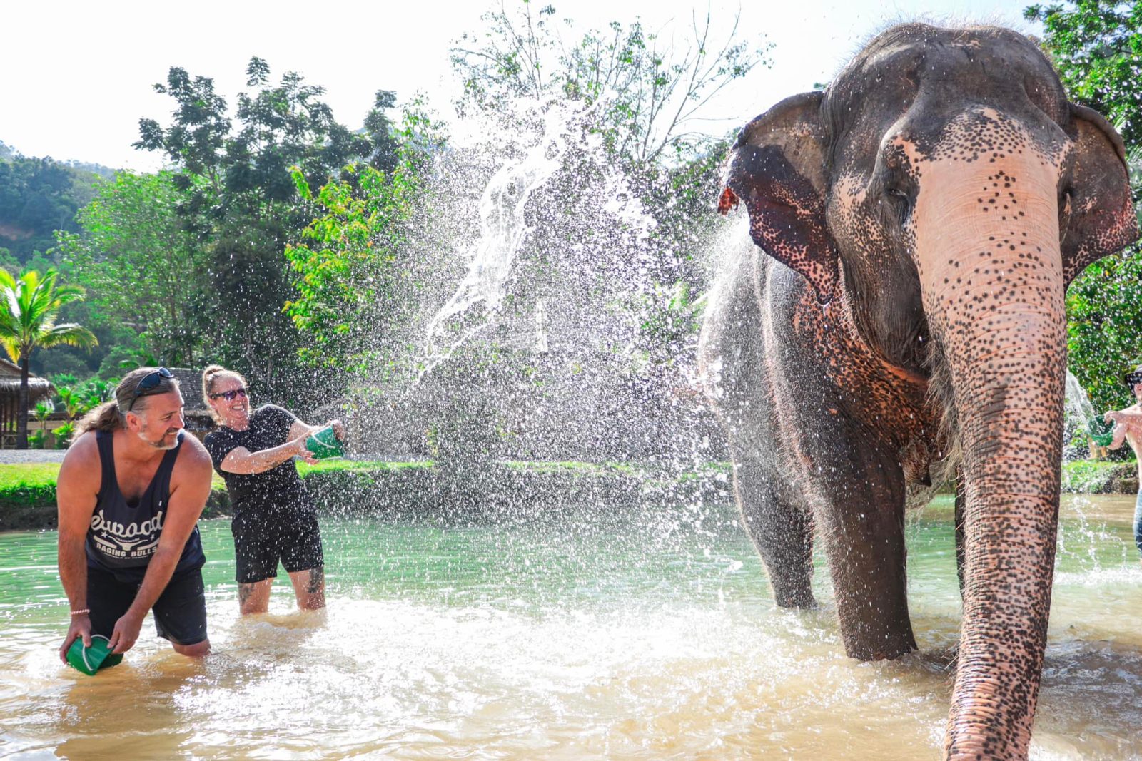 Elephant Bathing Phuket
