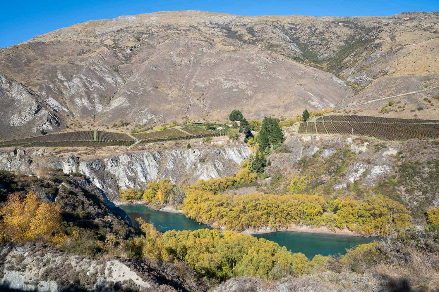 Gibbston Valley Bike Tour Along the Wine Trail