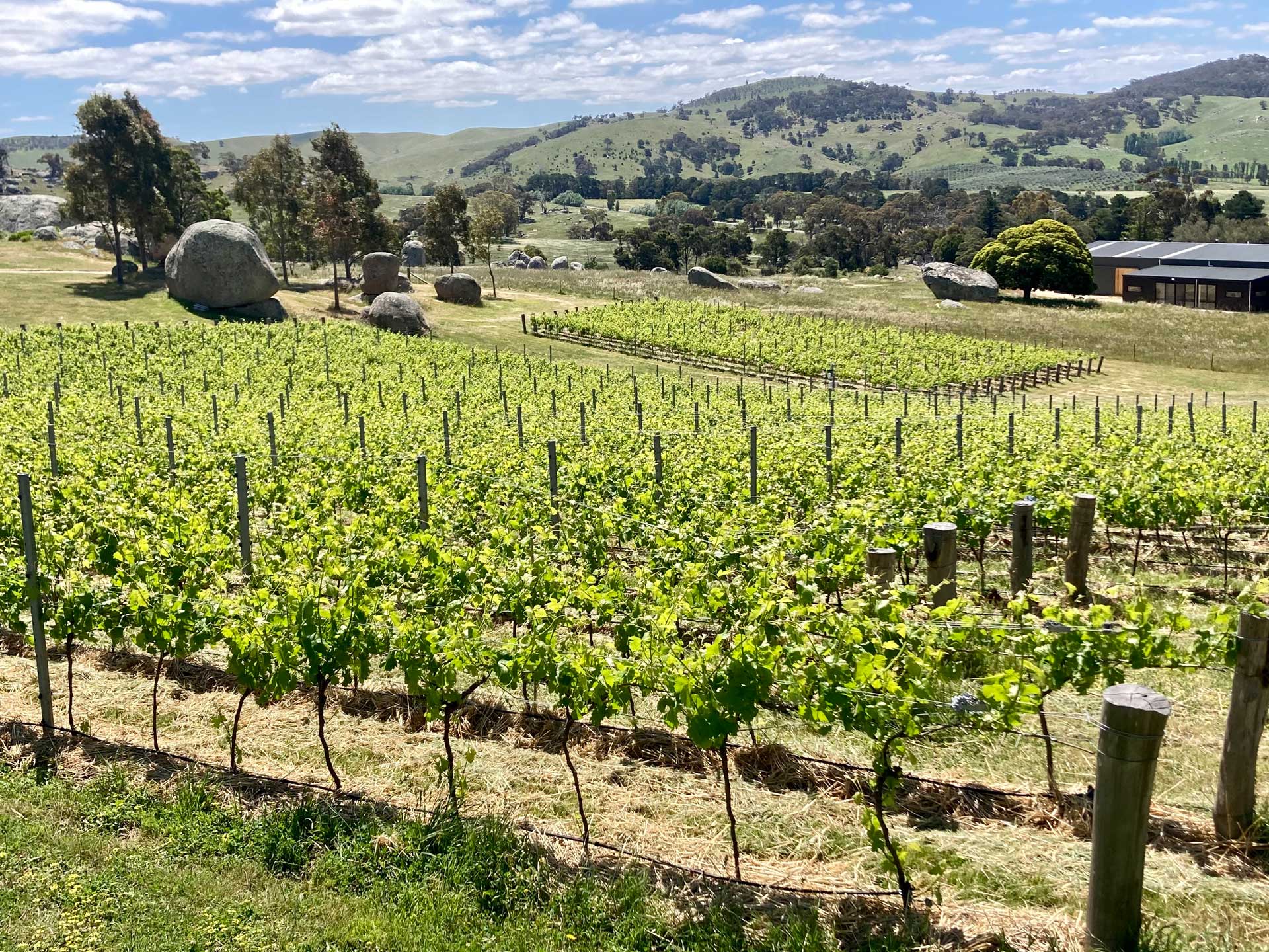 Home Block Vineyard