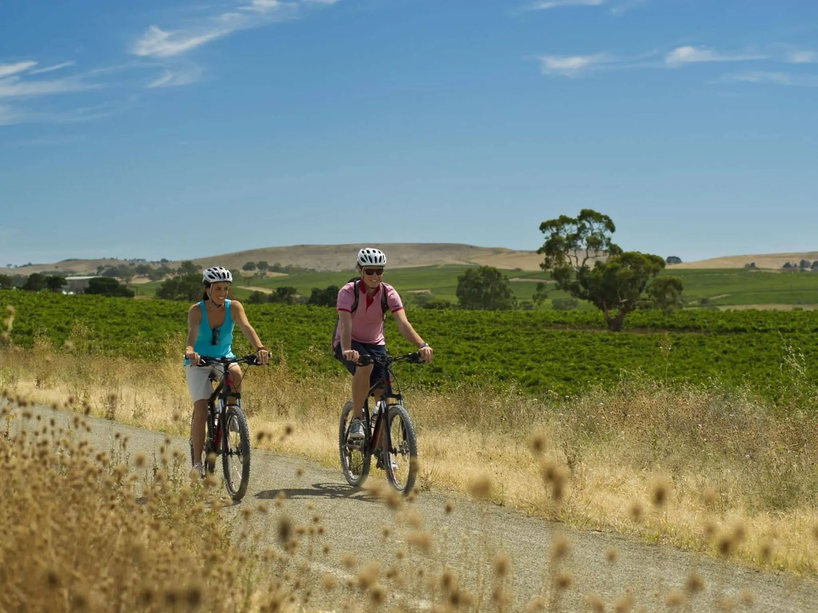 Your experience at Gibbston Valley Bike Tour