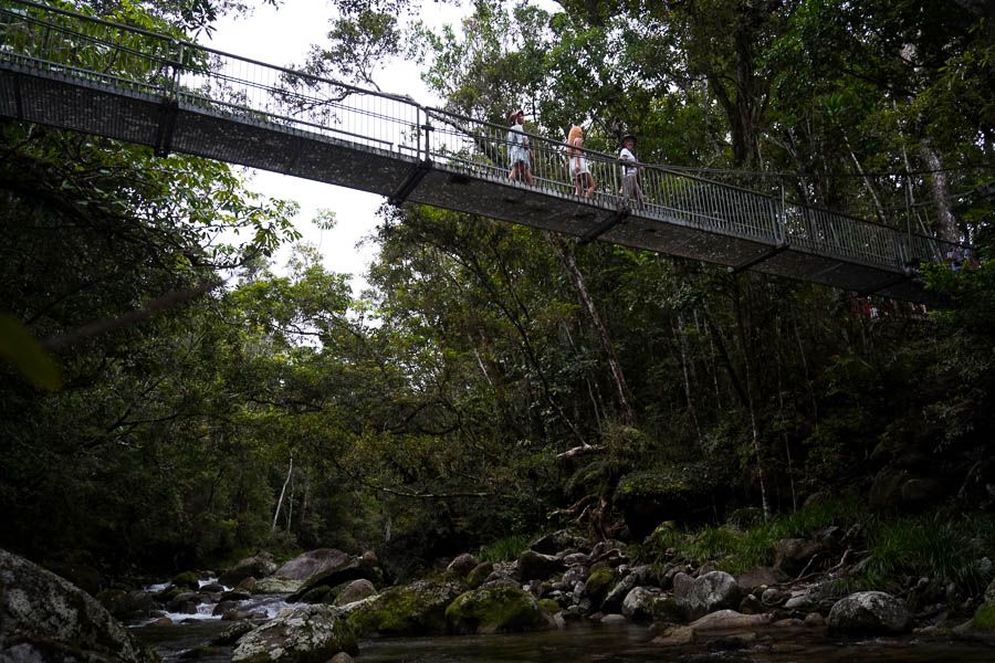 Rex Creek Suspension Bridge