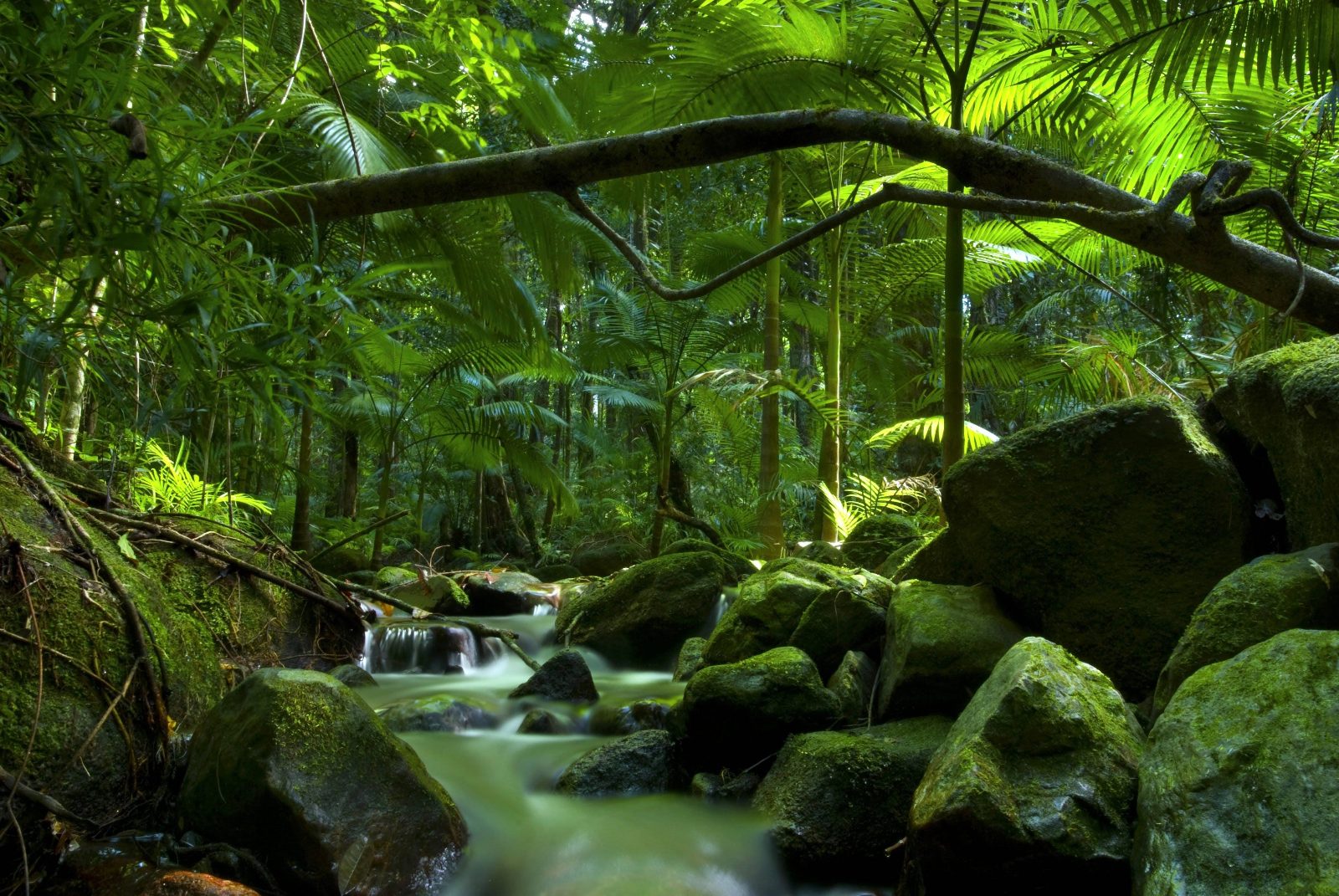 Rex Creek