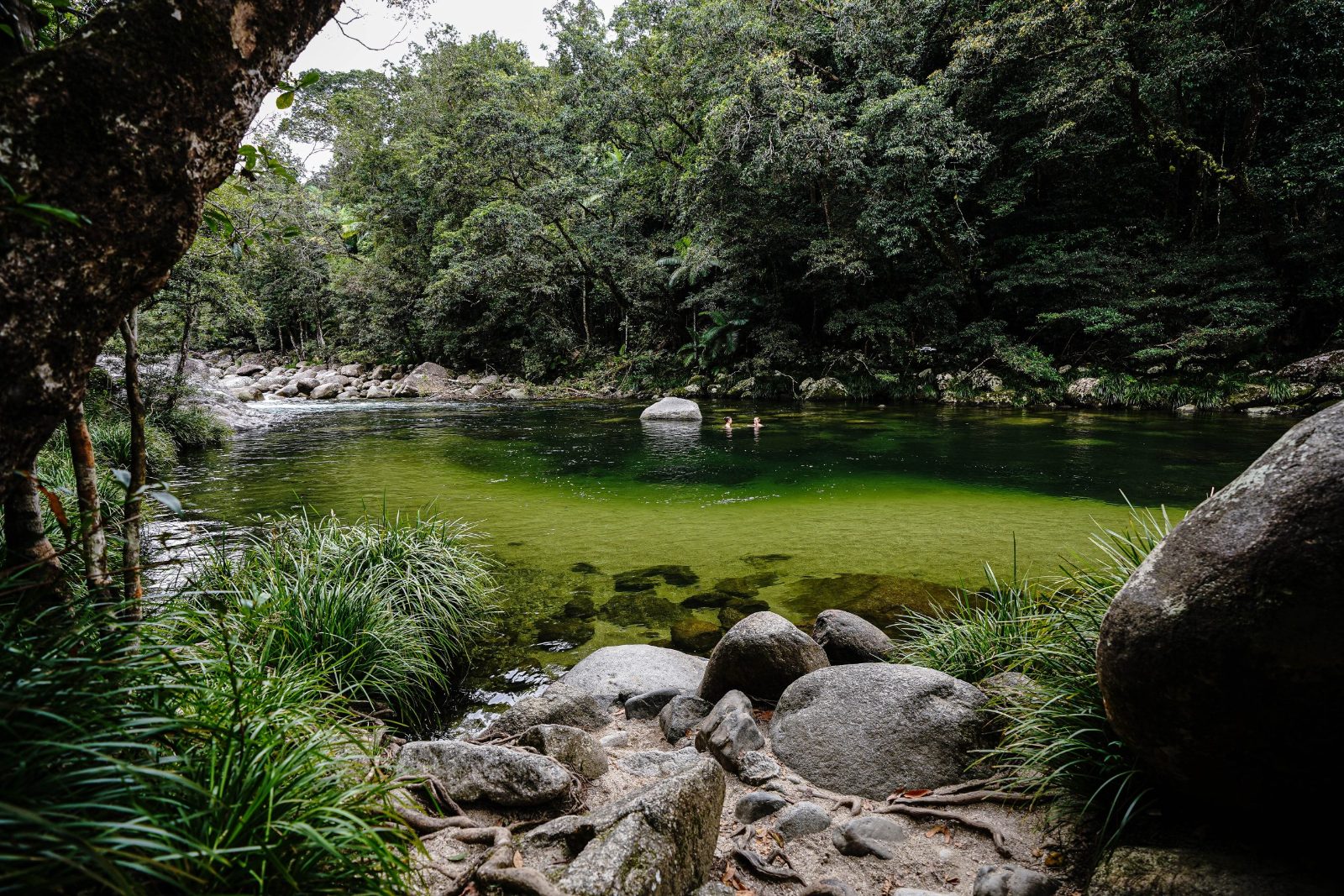 Mossman Gorge Tours