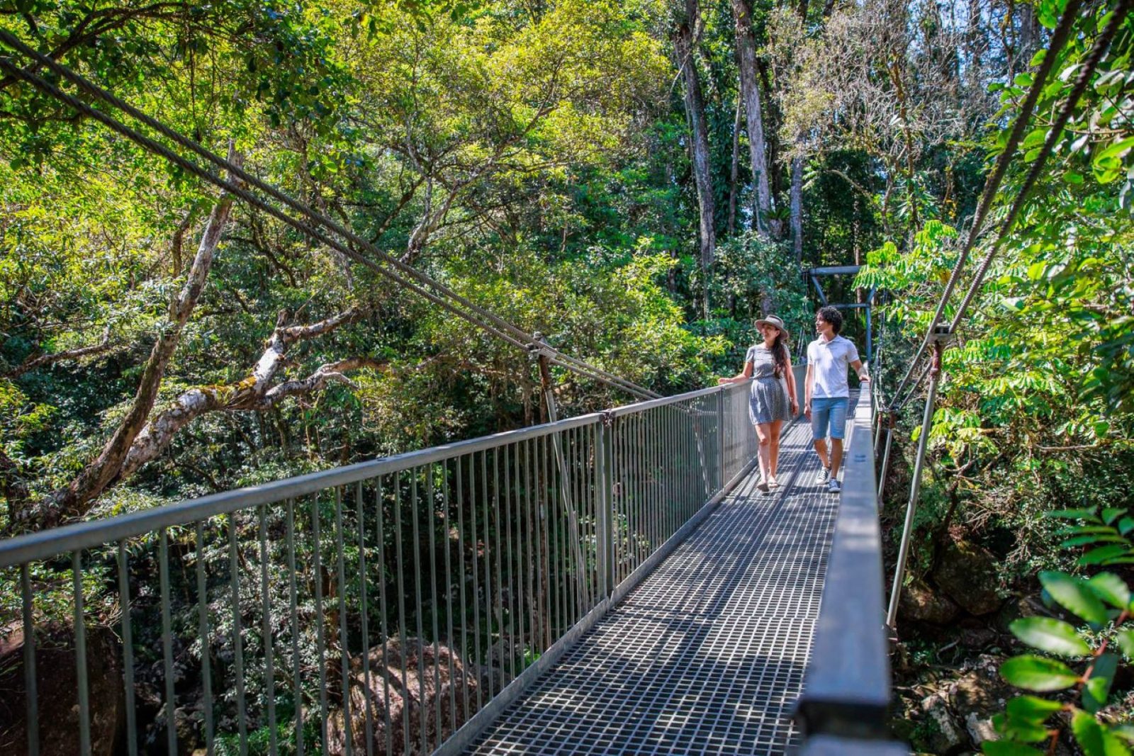 Your experience at Mossman Gorge Tours