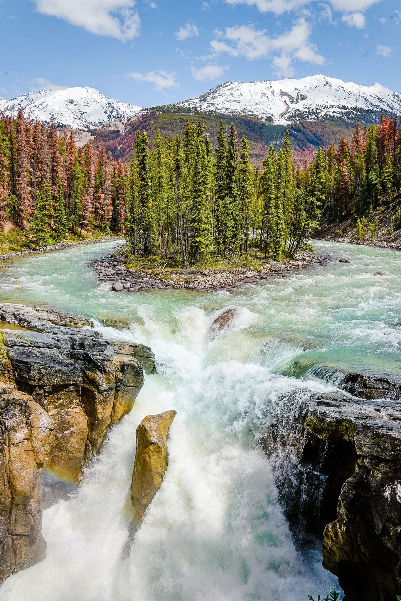 Sunwapta Falls