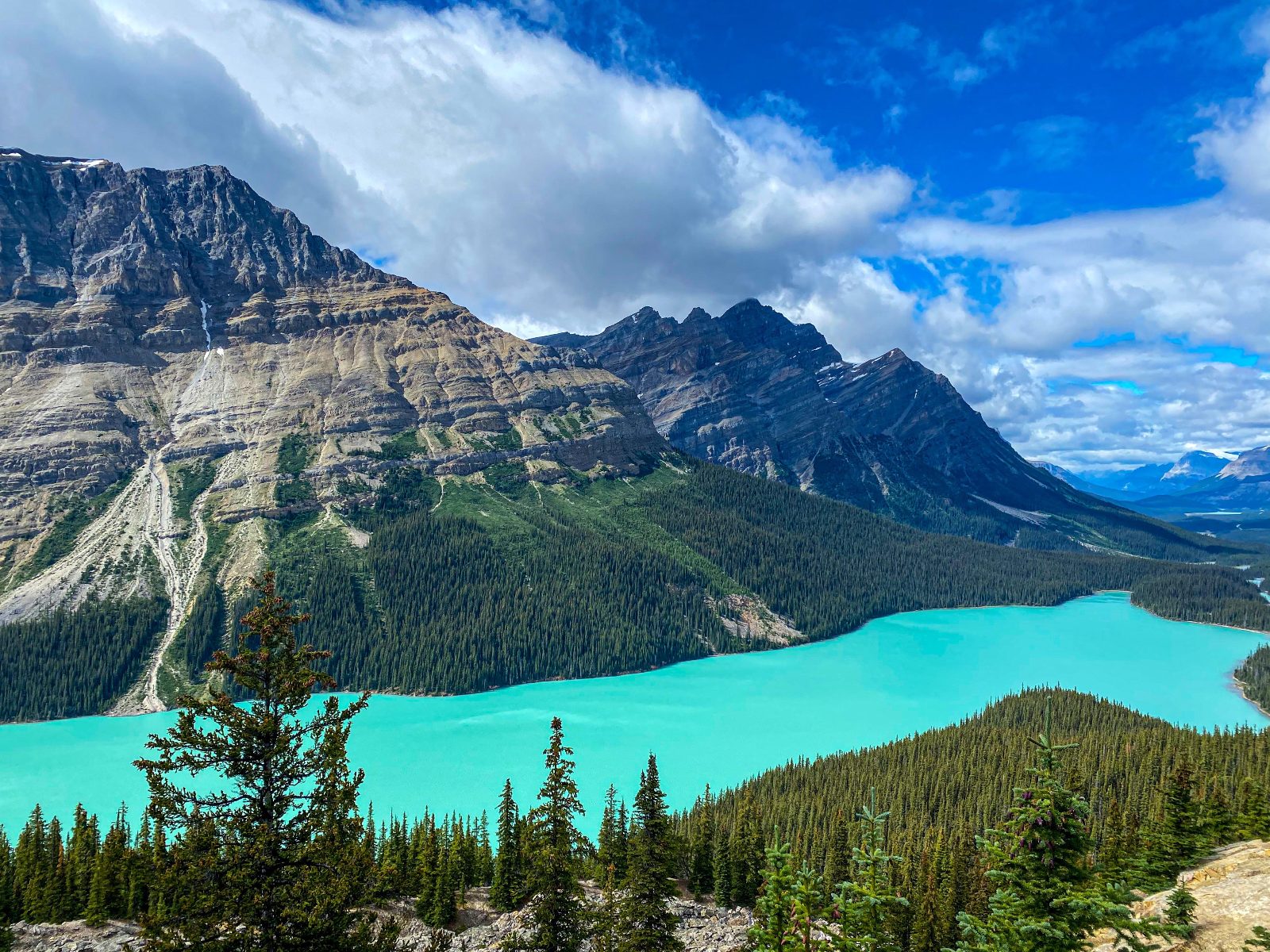 Peyto Lake