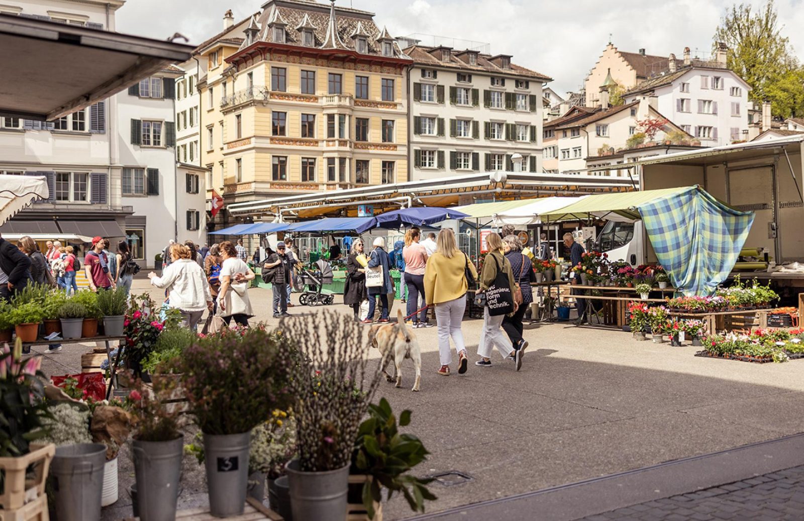Local Market Stalls