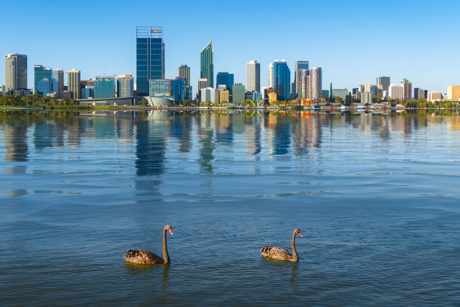 Swan River
