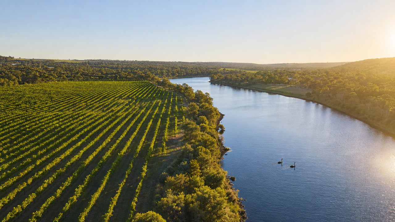 Swan Valley Wine Cruise on the Swan River