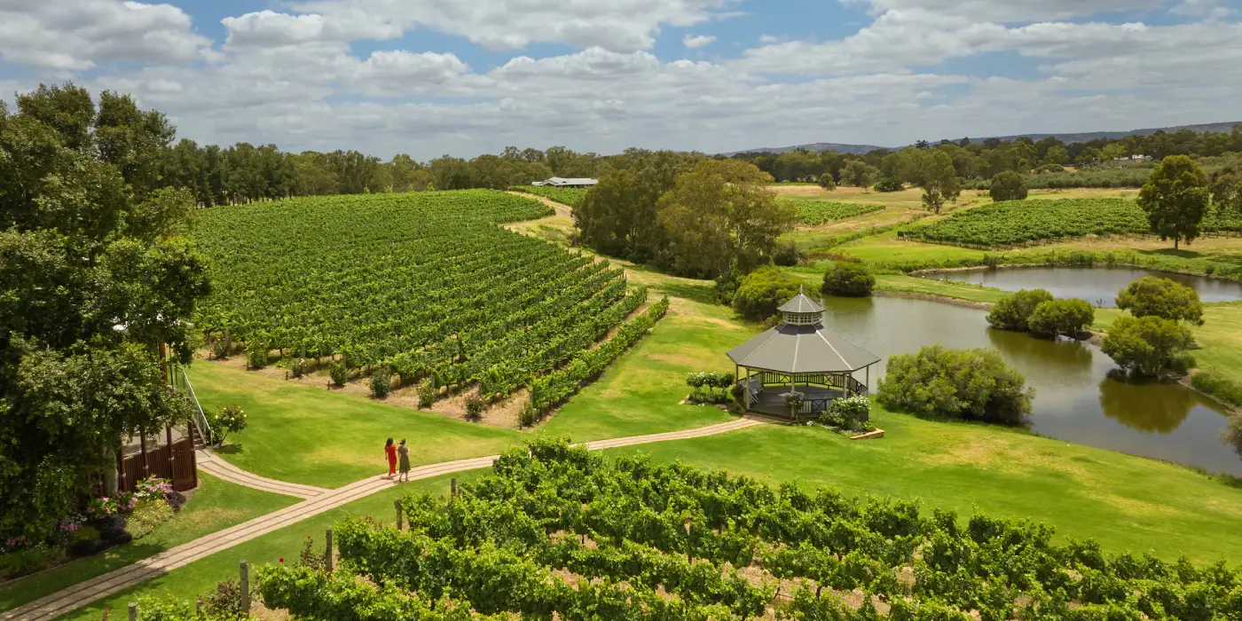 Winery Visit