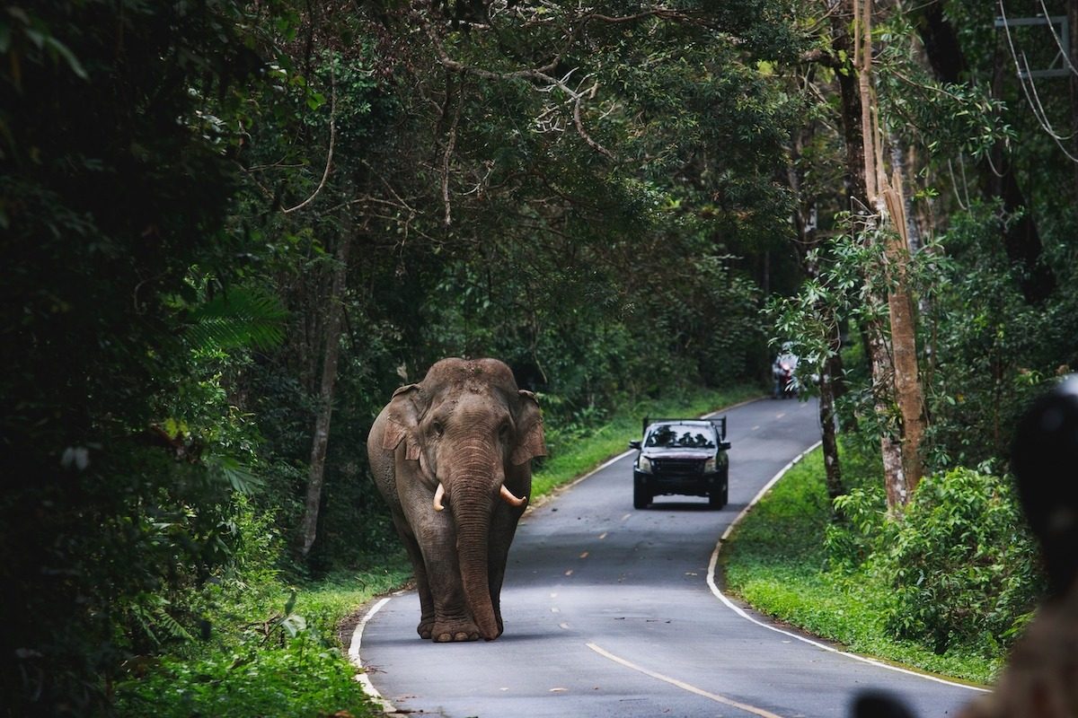 How to Get to Khao Yai From Bangkok