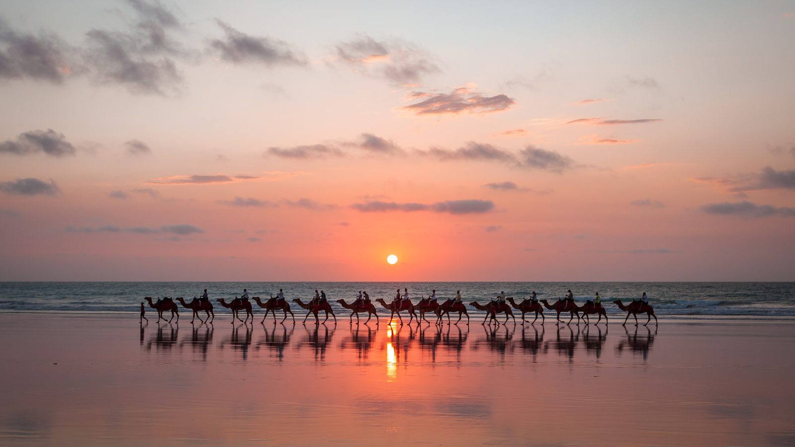 Broome Camel Rides Weight Limit