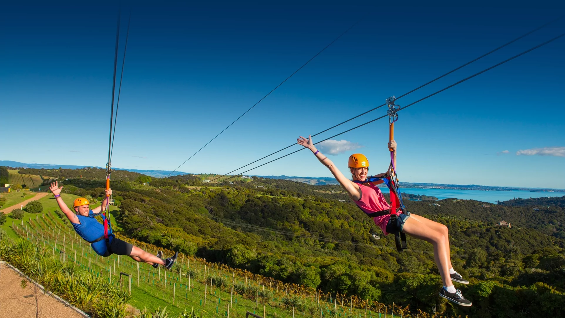 Waiheke Island Zipline Weight Limit