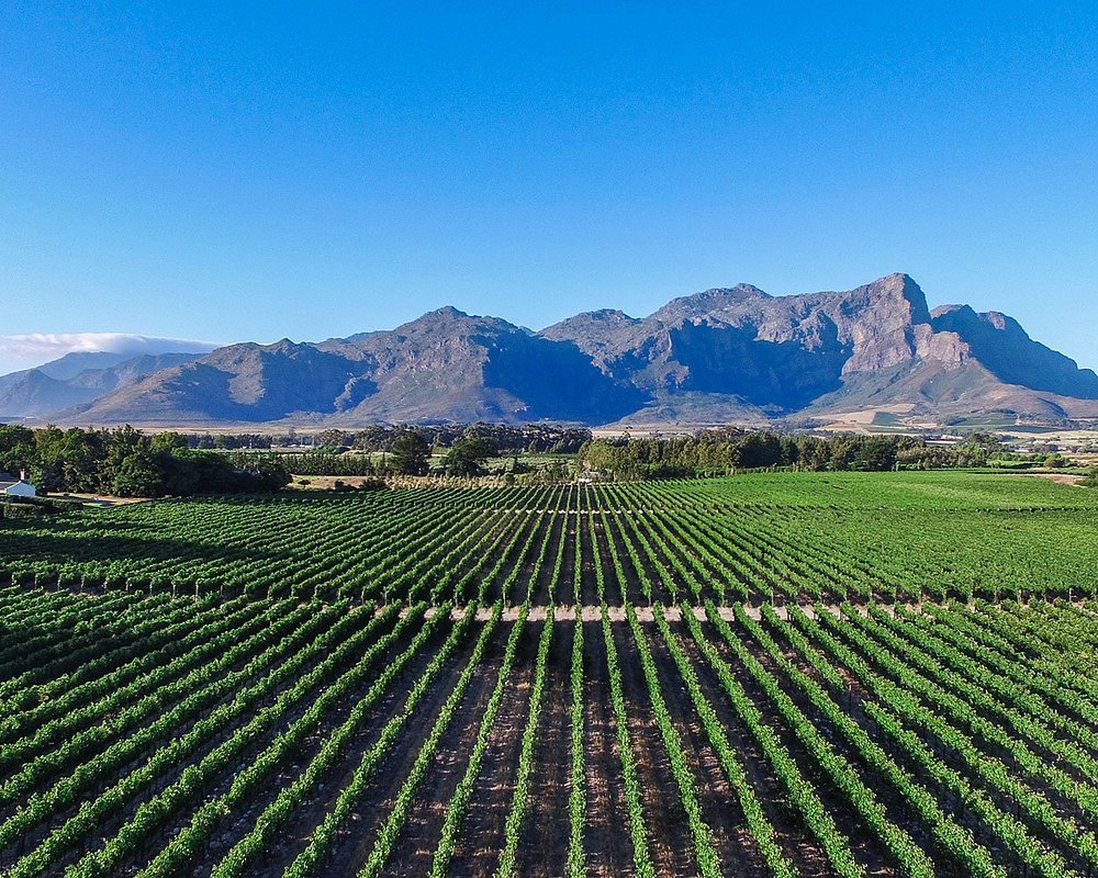 Franschhoek Wine Tasting Cape Town