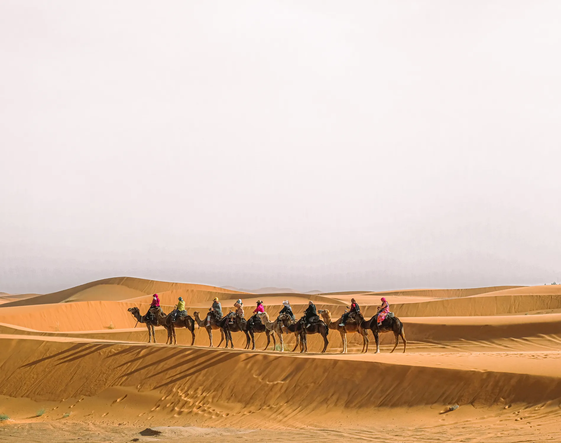 Sahara Desert Tour Price