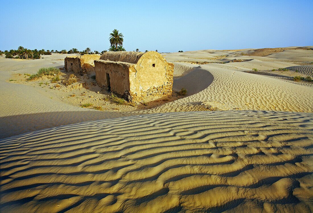 Is the Sahara Desert in Tunisia