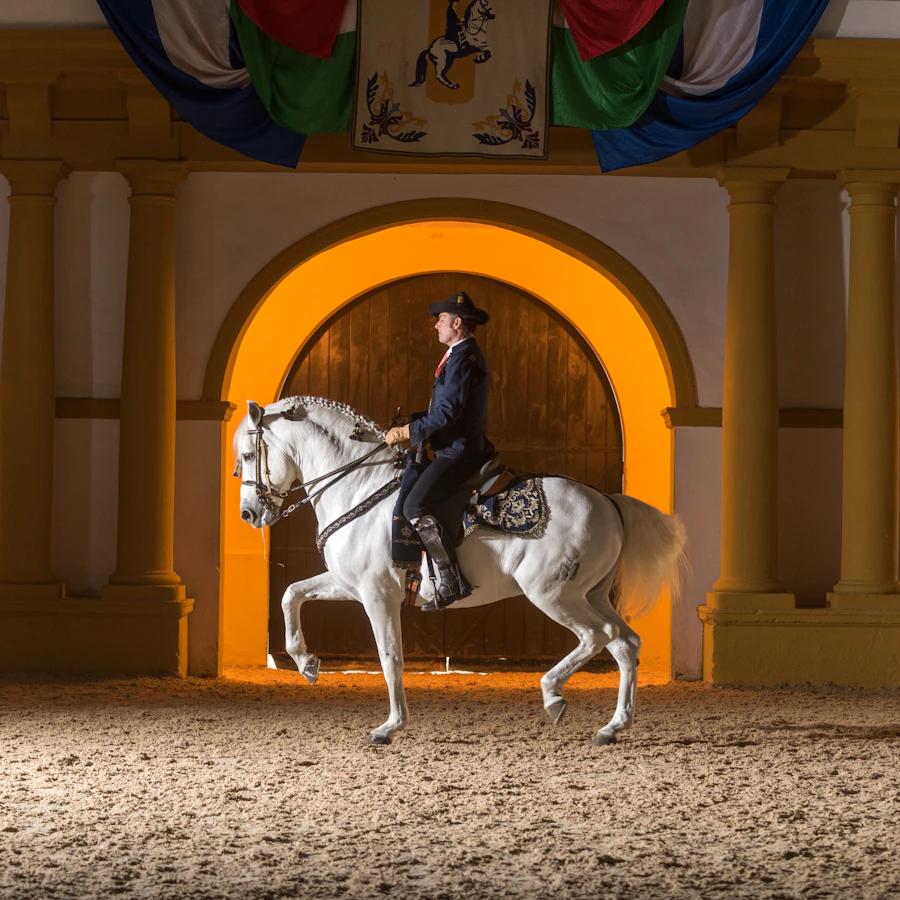 Jerez Horse Show Schedule
