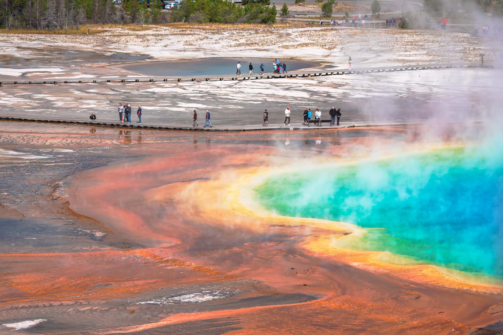 Yellowstone Tours From Jackson Hole Prices