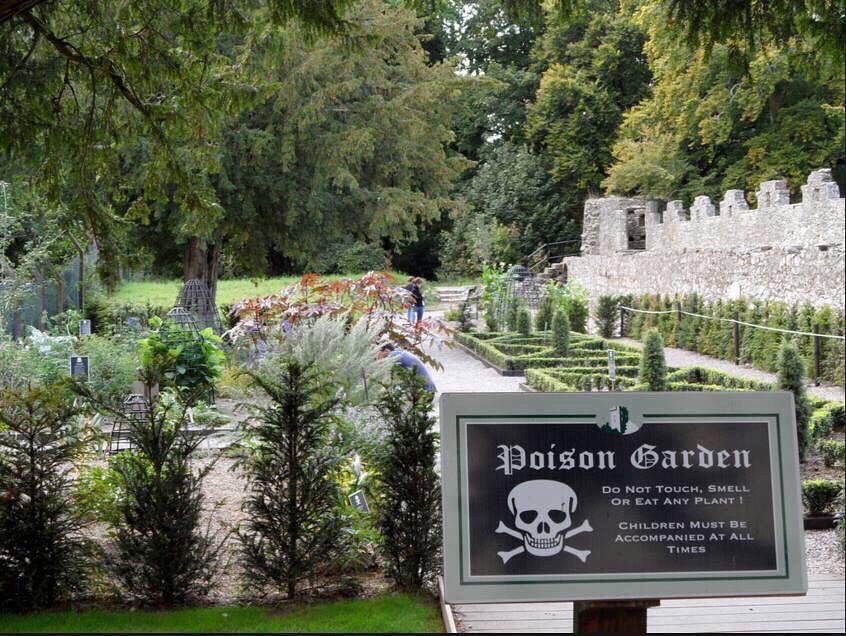 Poison Garden