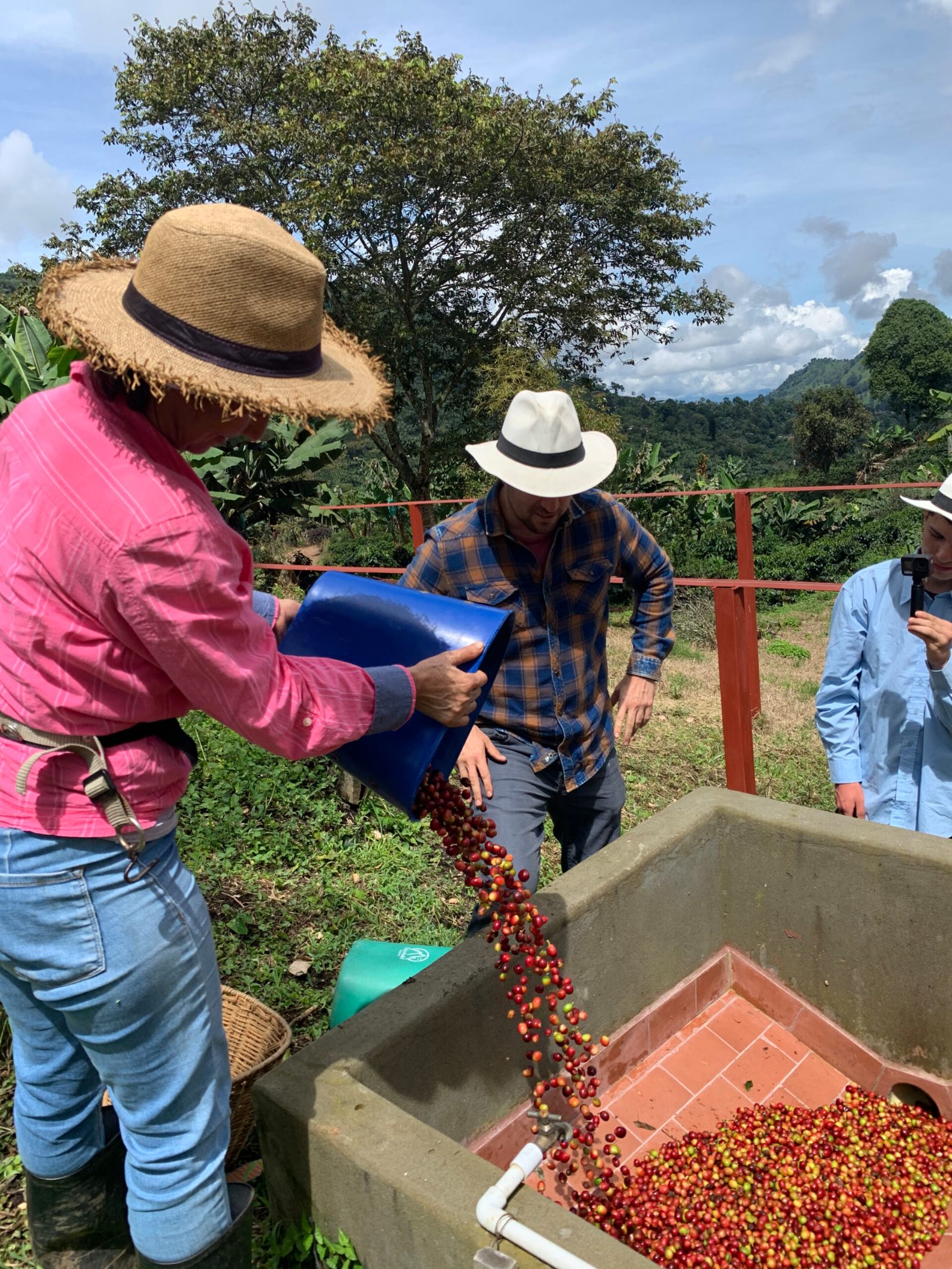 Can You Bring Coffee From Colombia to the Us