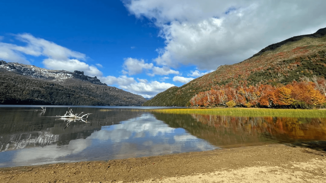 Lago Falkner