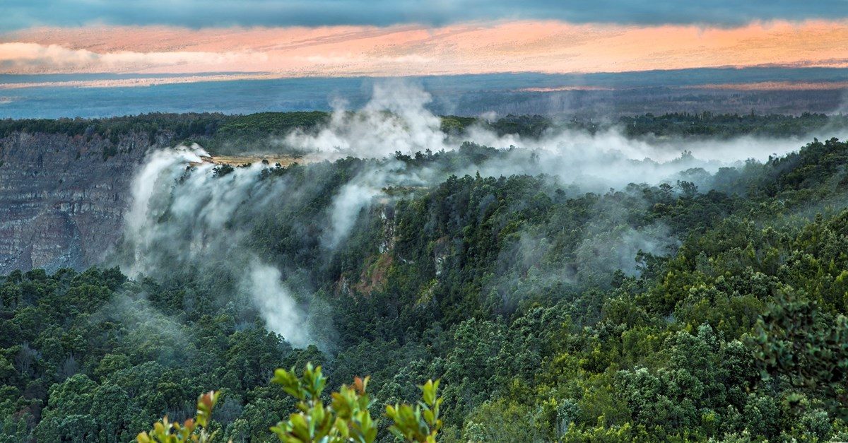 Steam Vents