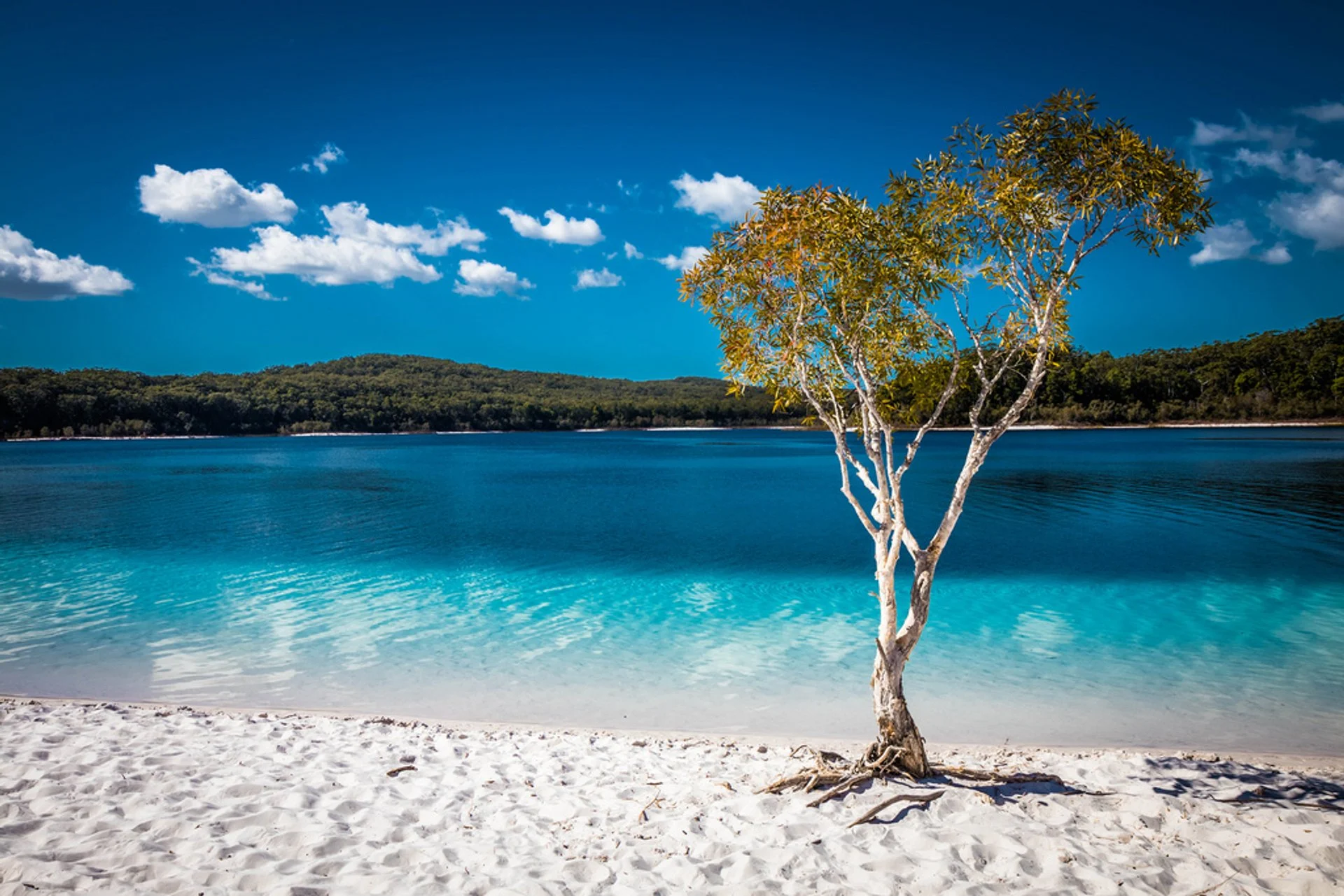 Lake McKenzie