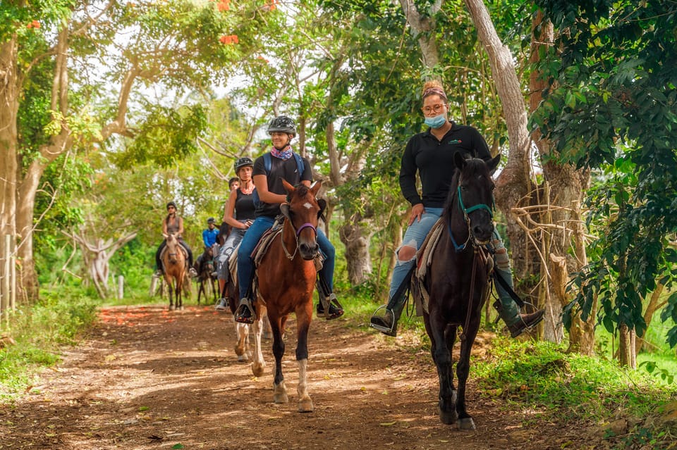 Horseback Riding Routes
