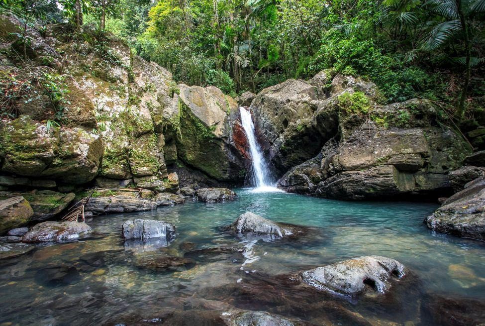 Is El Yunque Worth Visiting