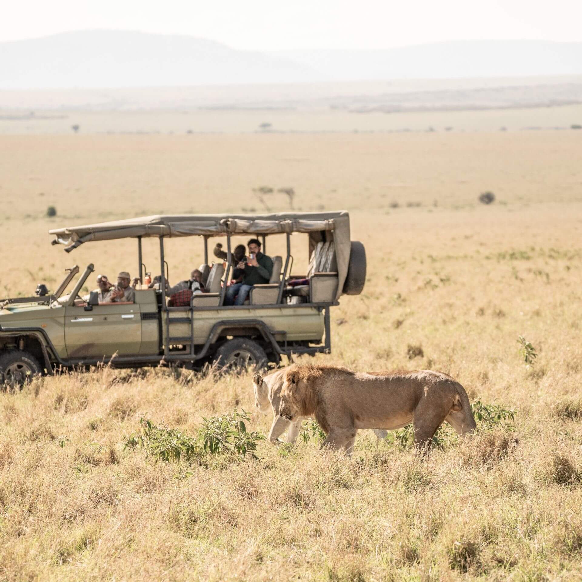 Masai Mara Safari Cost