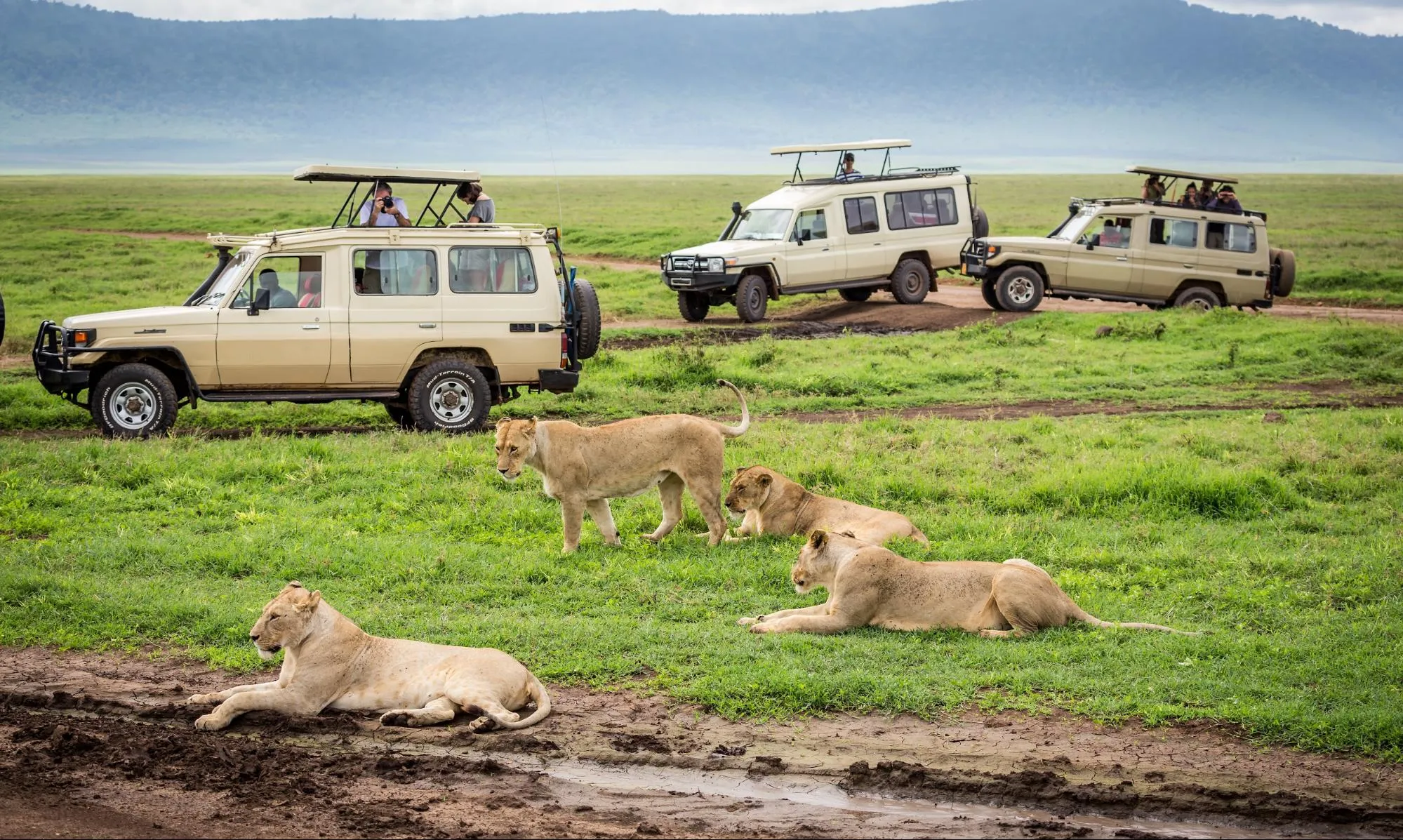 3 Day Masai Mara Safari From Nairobi Price