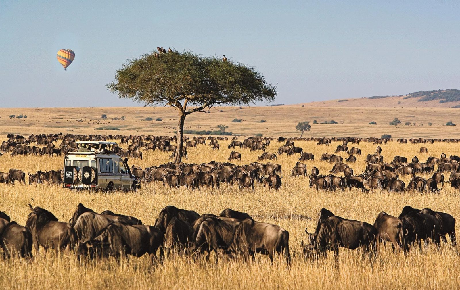 3 Days Masai Mara Safari Itinerary