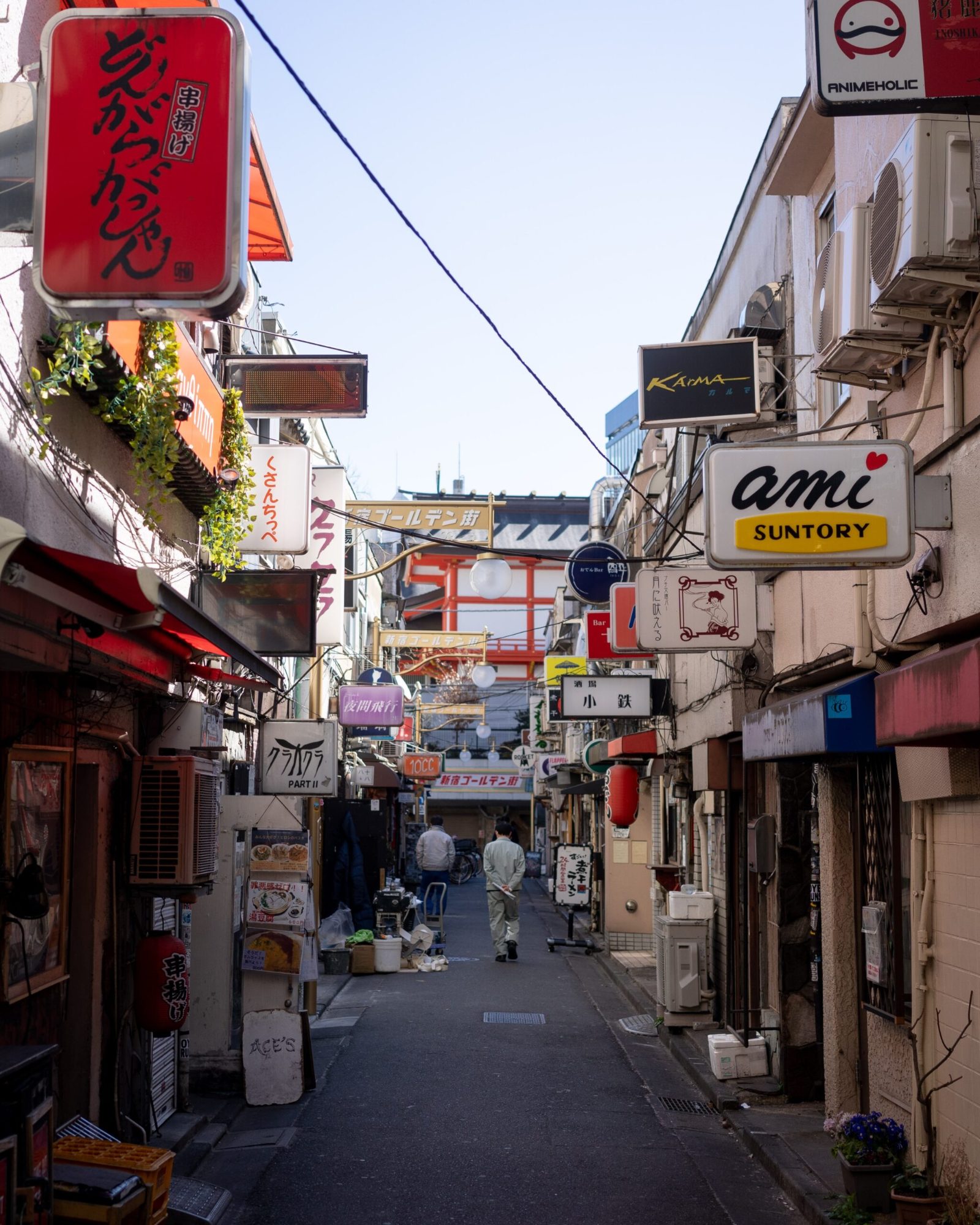 What to Do in Shinjuku During the Day