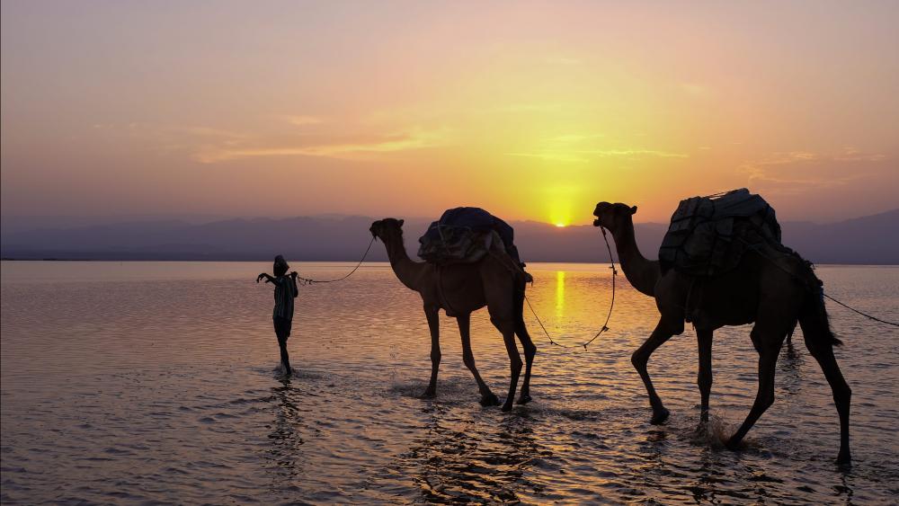 Lake Asale