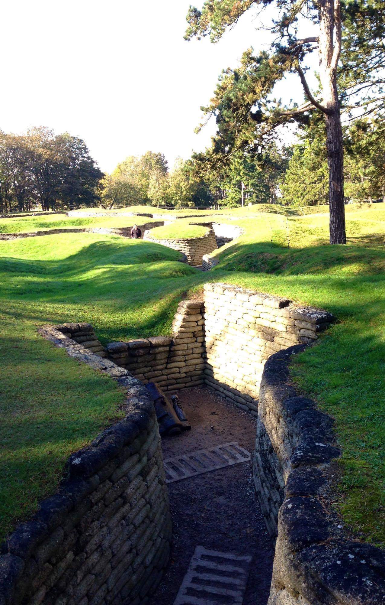 Preserved Trench System