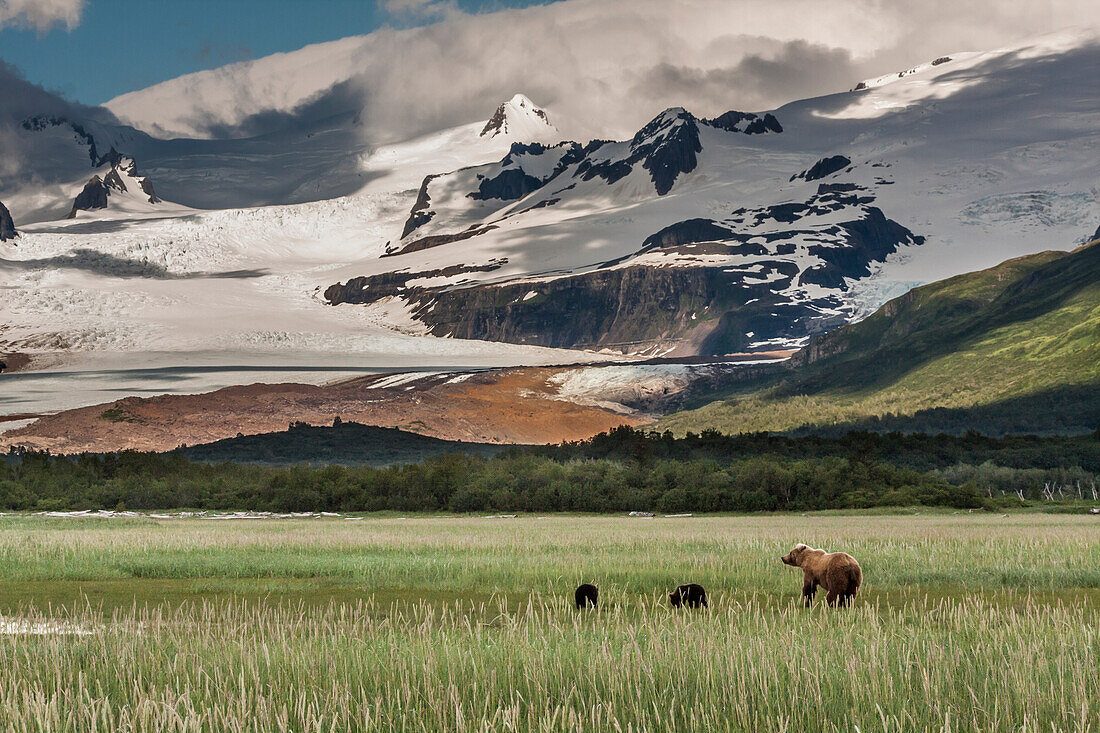 Katmai National Park Shoreline